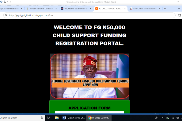 Picture from the registration portal