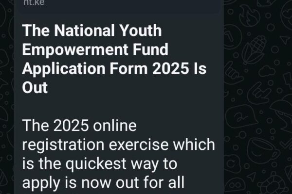 Scam Alert: National Youth Empowerment Fund Application Form 2025 Is Fake!